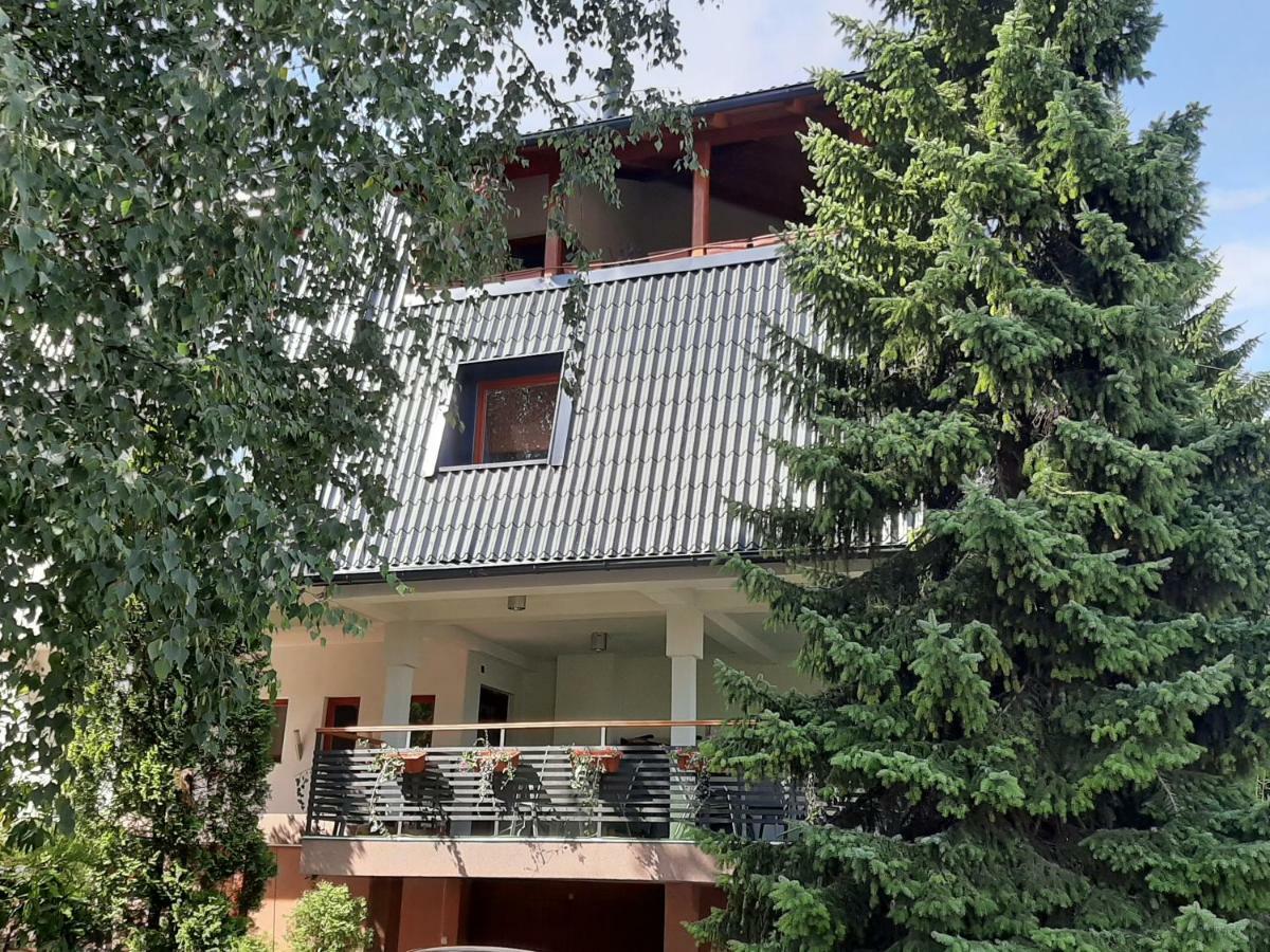 Hill Homestay Sarajevo