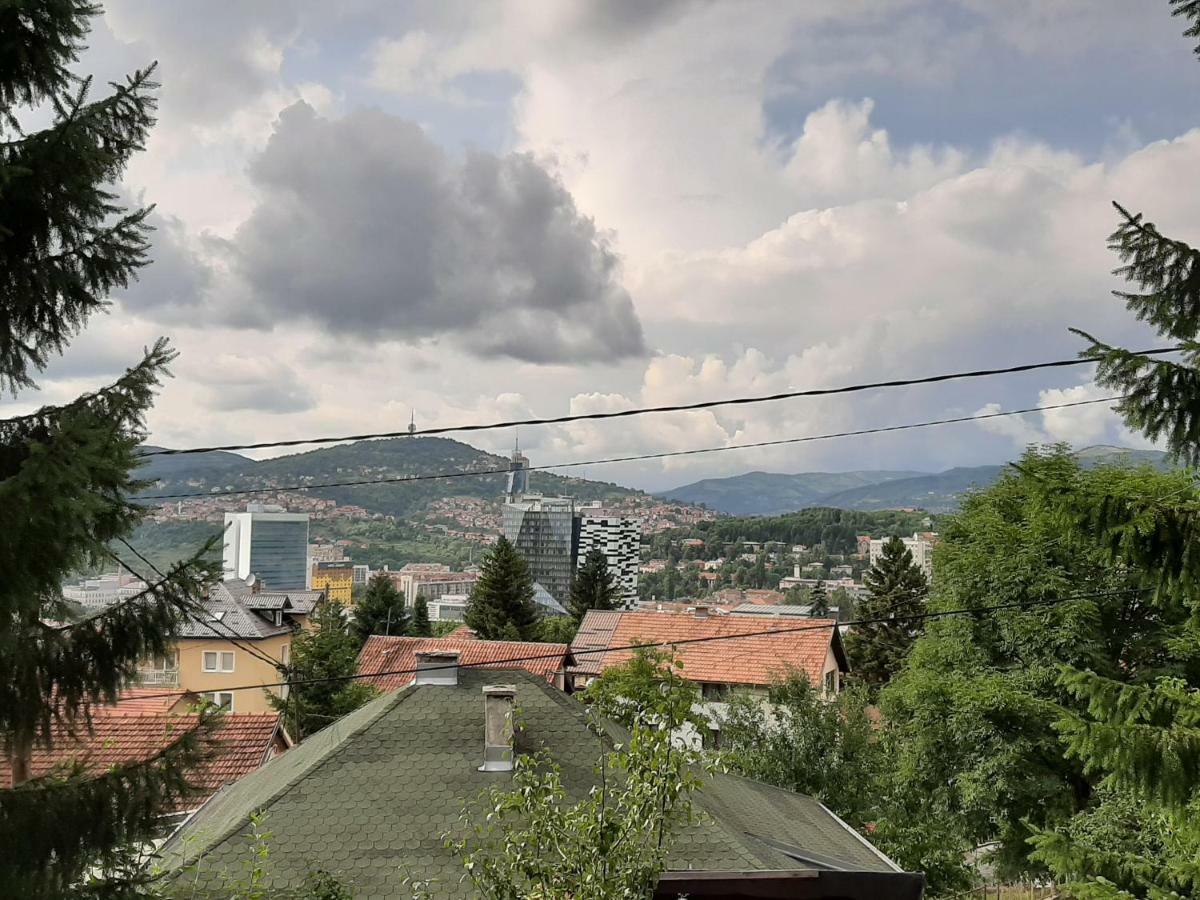 Hill *